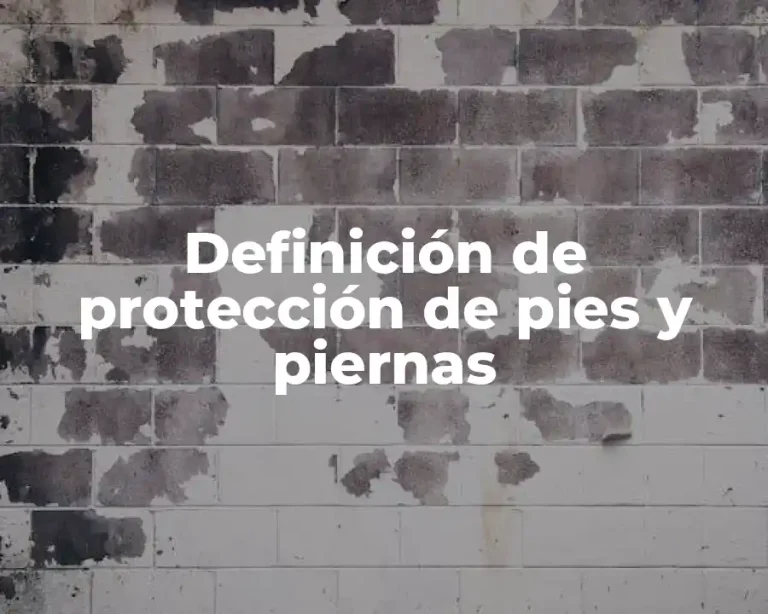 Definición de protección de pies y piernas