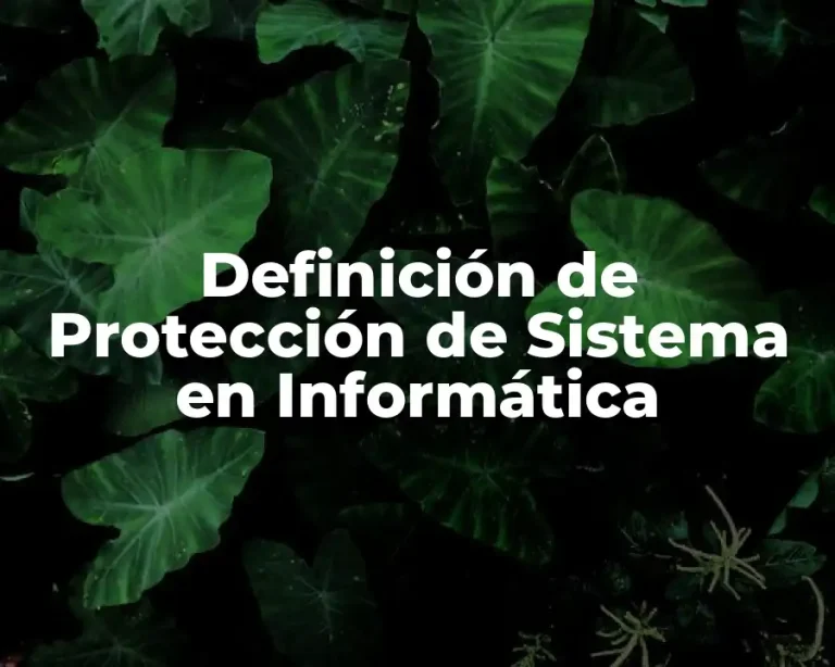 Definición de Protección de Sistema en Informática