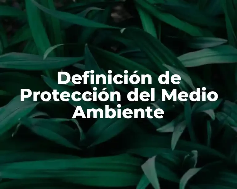 Definición de Protección del Medio Ambiente