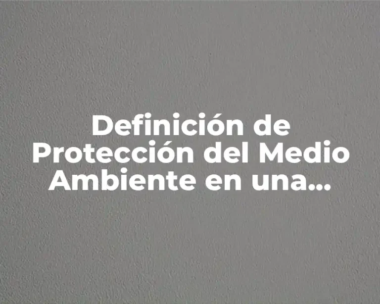 Definición de Protección del Medio Ambiente en una Empresa