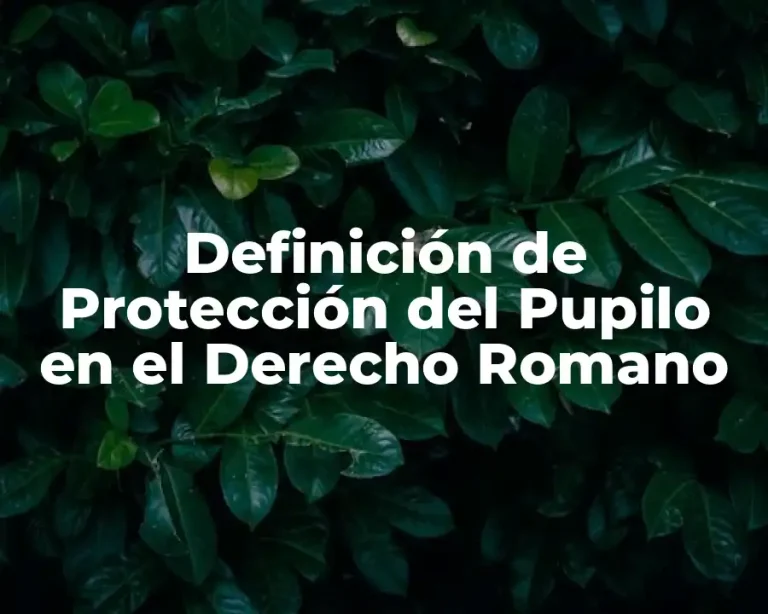 Definición de Protección del Pupilo en el Derecho Romano
