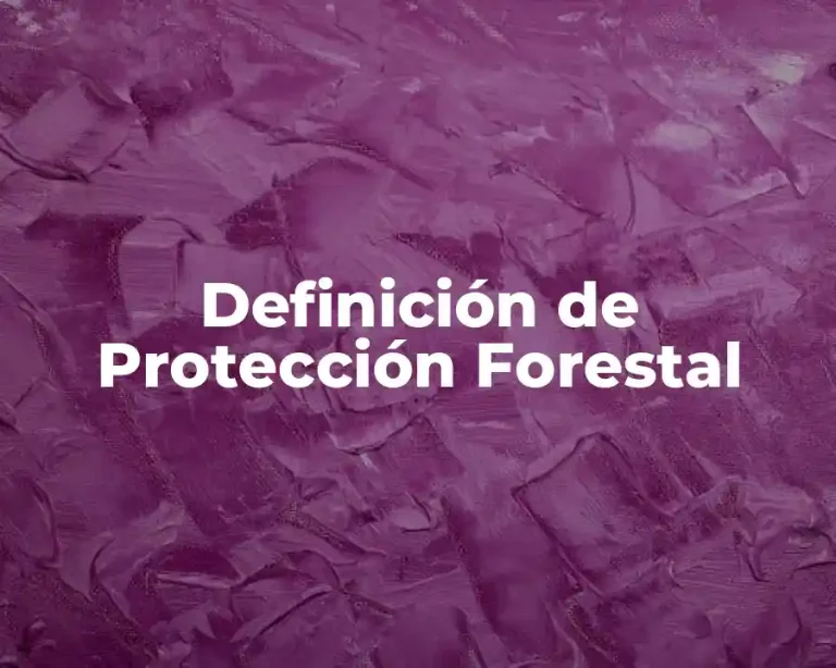 Definición de Protección Forestal