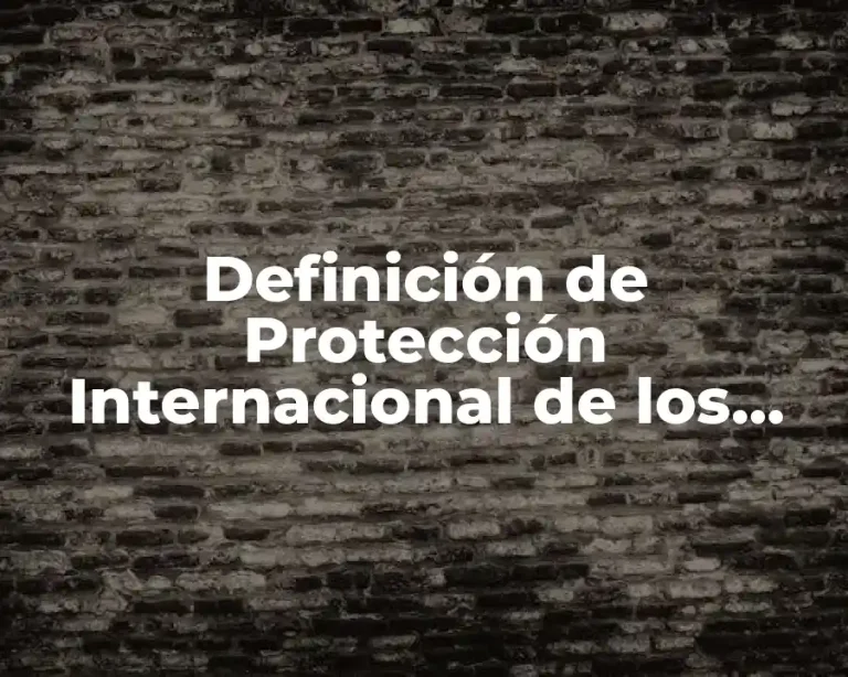 Definición de Protección Internacional de los Derechos Humanos