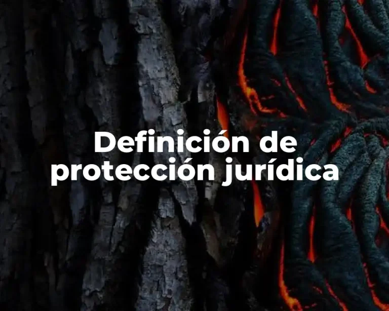 Definición de protección jurídica