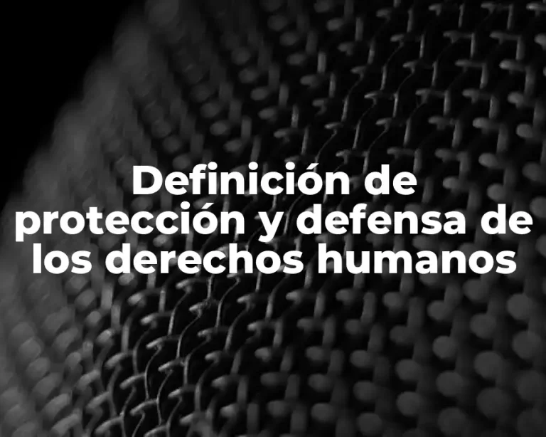 Definición de protección y defensa de los derechos humanos