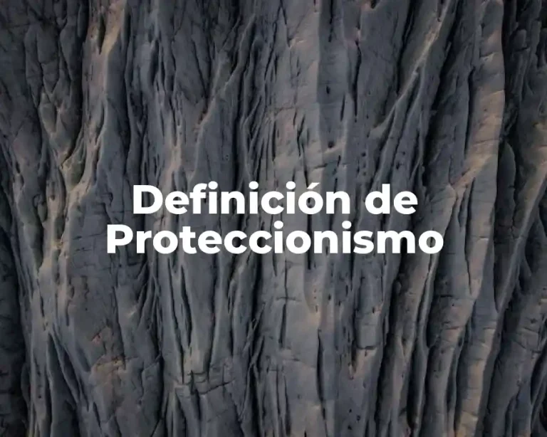 Definición de Proteccionismo