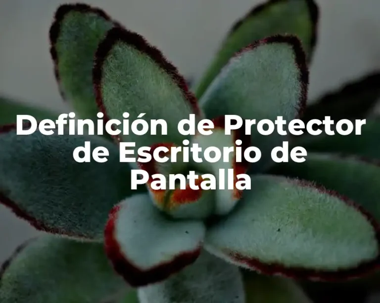 Definición de Protector de Escritorio de Pantalla