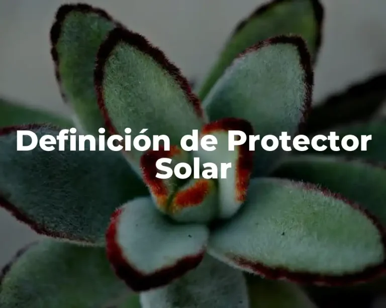 Definición de Protector Solar