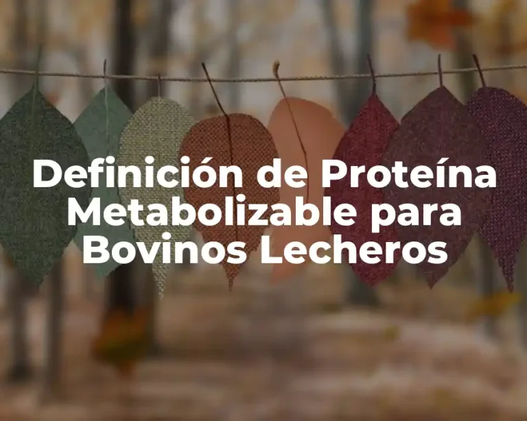 Definición de Proteína Metabolizable para Bovinos Lecheros