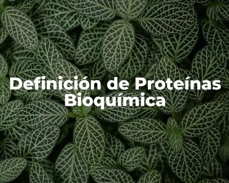 Definición de Proteínas Bioquímica