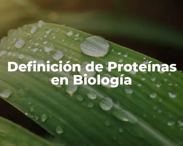 Definición de Proteínas en Biología