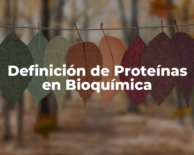 Definición de Proteínas en Bioquímica