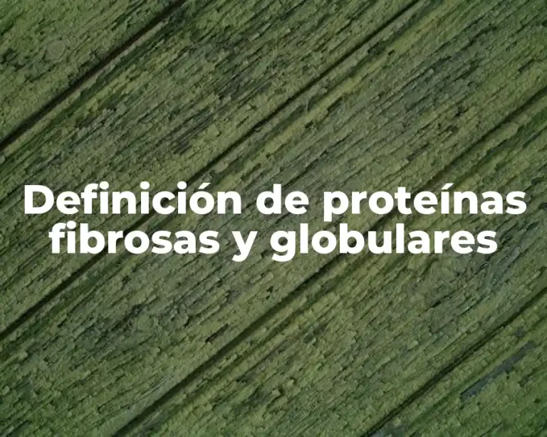 Definición de proteínas fibrosas y globulares