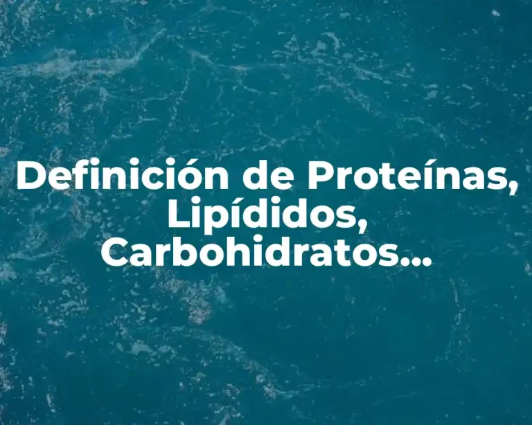 Definición de Proteínas, Lipídidos, Carbohidratos, Vitamina y Enzimas