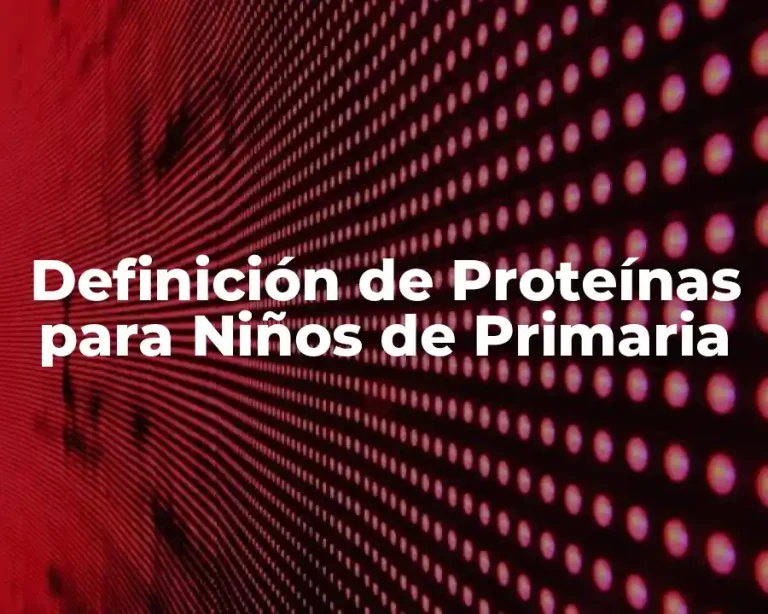 Definición de Proteínas para Niños de Primaria
