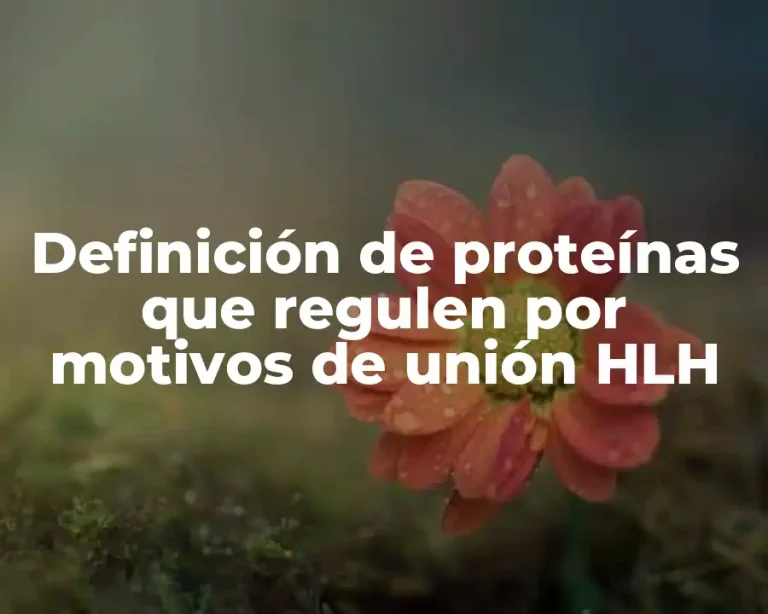 Definición de proteínas que regulen por motivos de unión HLH