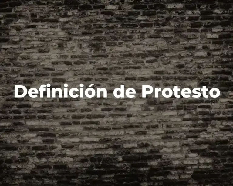 Definición de Protesto