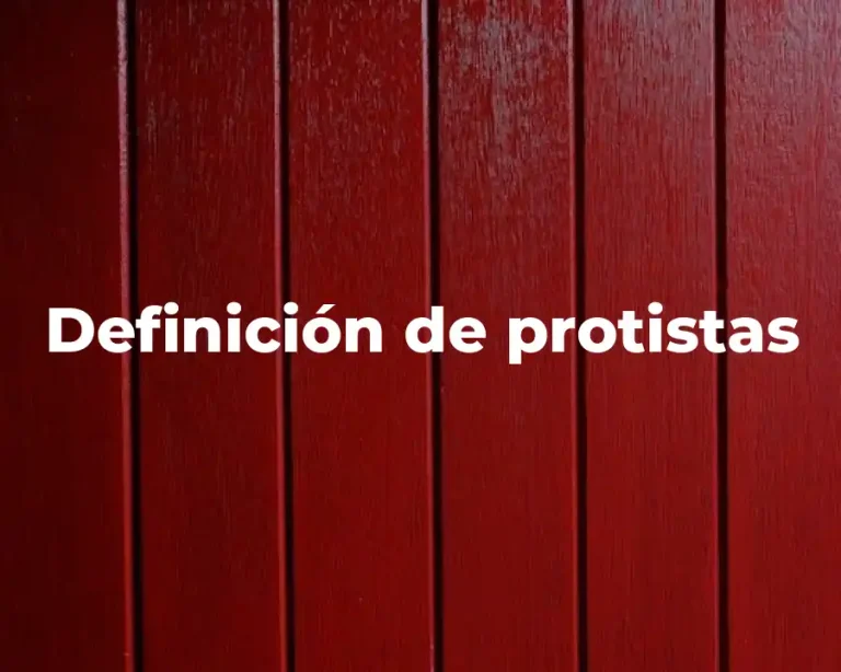 Definición de protistas