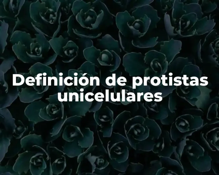 Definición de protistas unicelulares