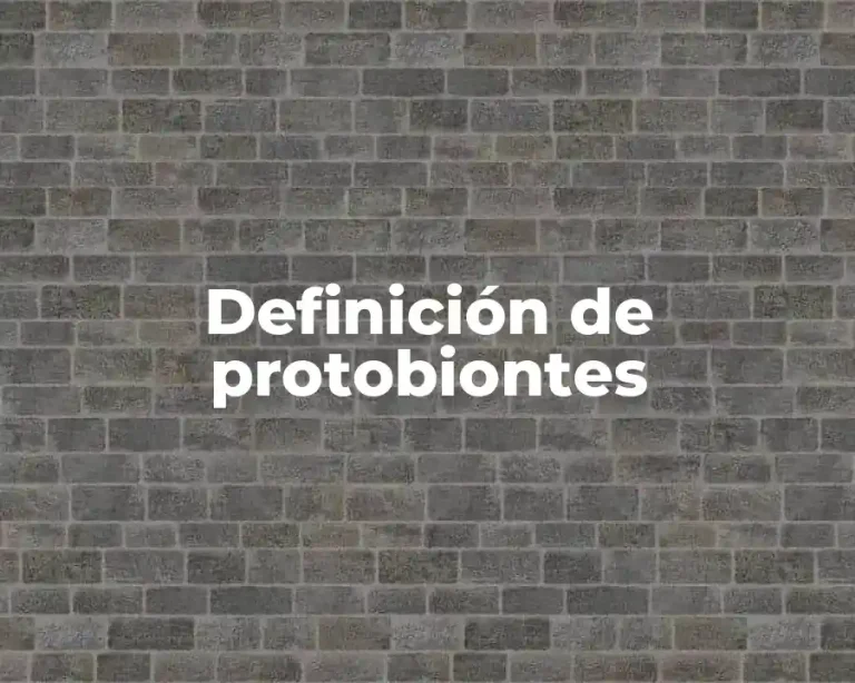 Definición de protobiontes