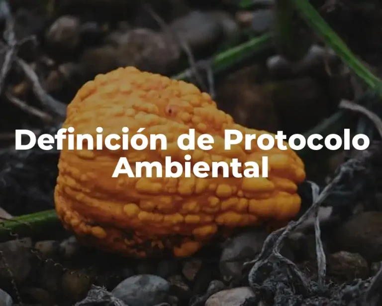 Definición de Protocolo Ambiental