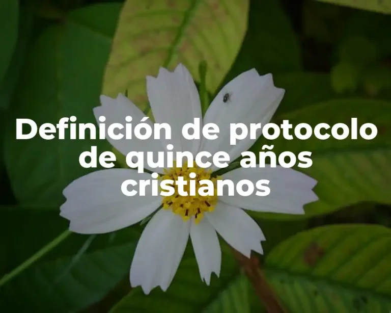Definición de protocolo de quince años cristianos