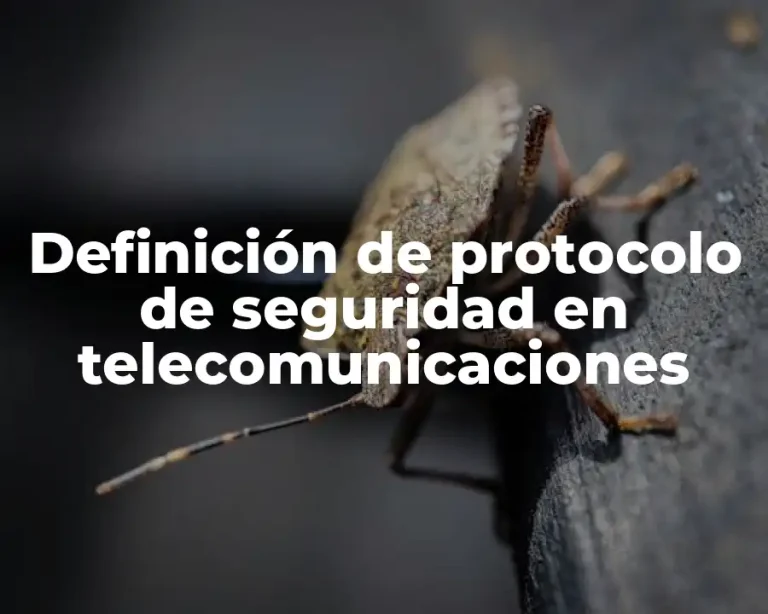 Definición de protocolo de seguridad en telecomunicaciones