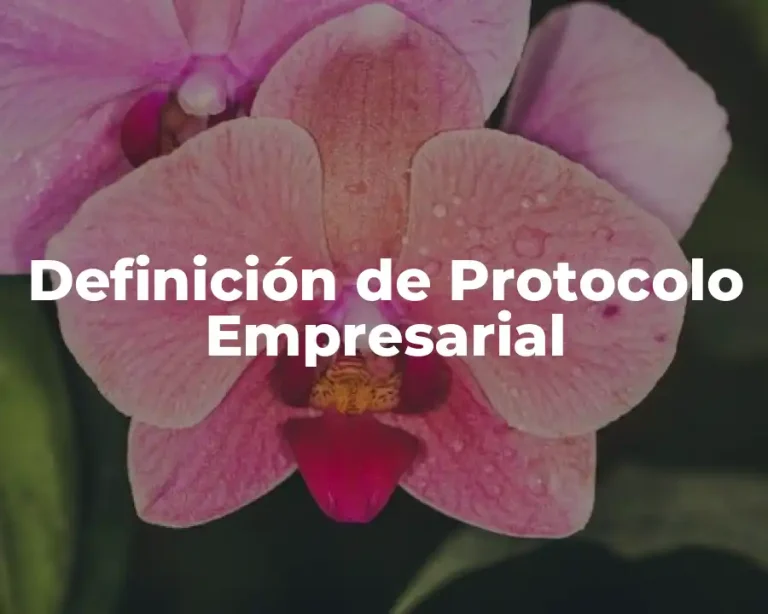 Definición de Protocolo Empresarial