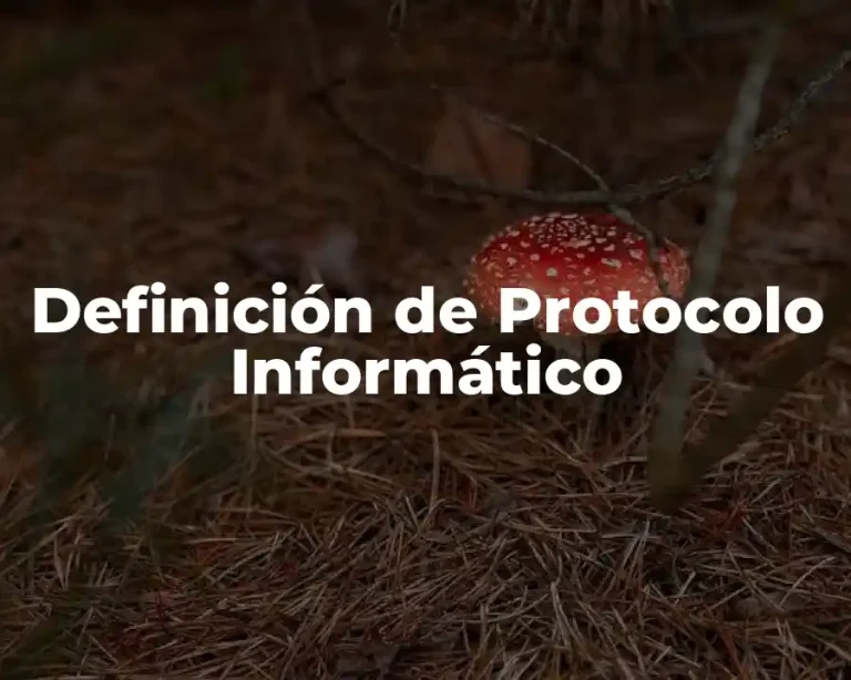 Definición de Protocolo Informático