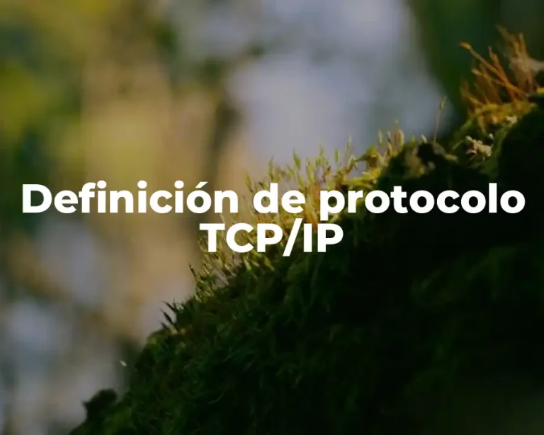 Definición de protocolo TCP/IP