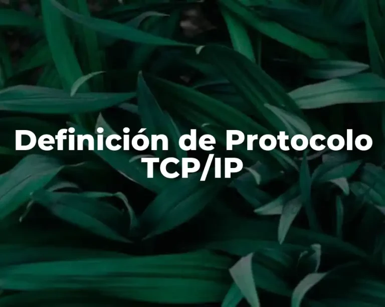 Definición de Protocolo TCP/IP