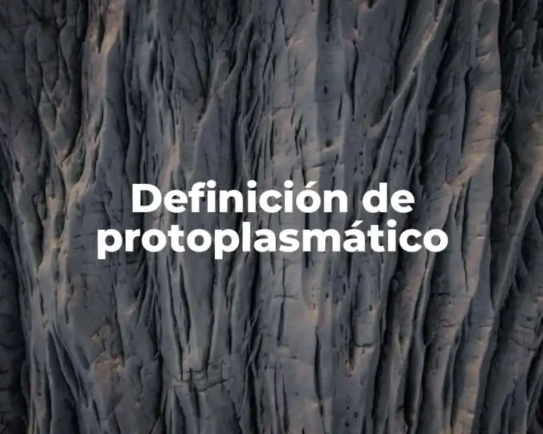Definición de protoplasmático