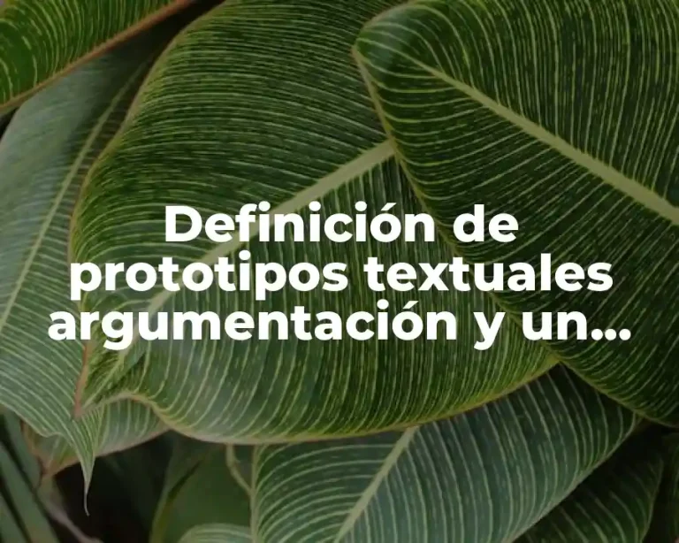 Definición de prototipos textuales argumentación y un cuento