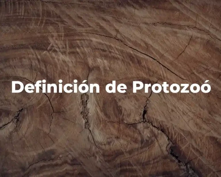 Definición de Protozoó