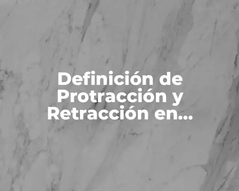 Definición de Protracción y Retracción en Biomecánica