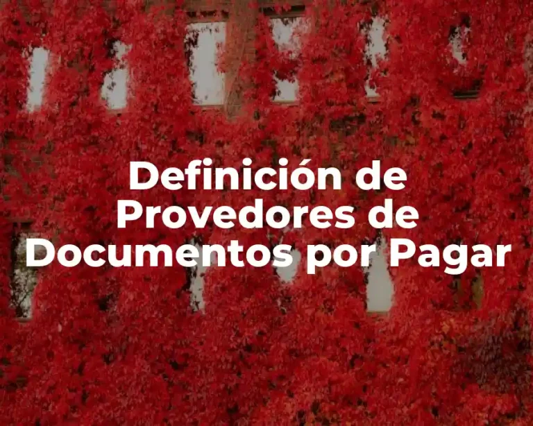 Definición de Provedores de Documentos por Pagar