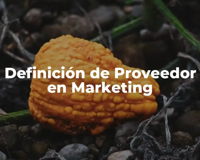 Definición de Proveedor en Marketing