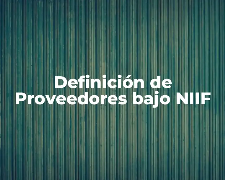 Definición de Proveedores bajo NIIF