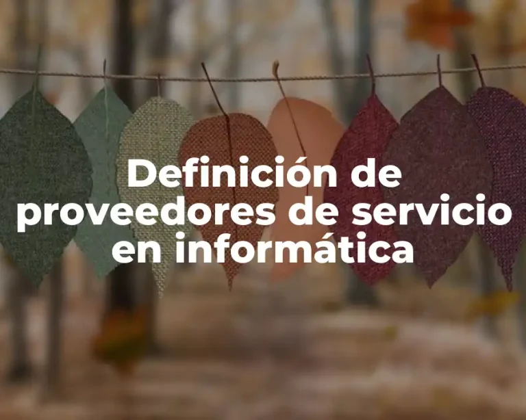 Definición de proveedores de servicio en informática
