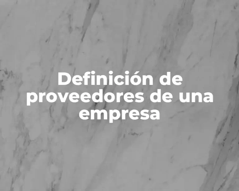 Definición de proveedores de una empresa
