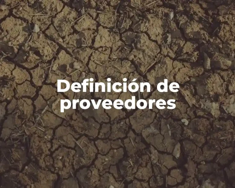 Definición de proveedores