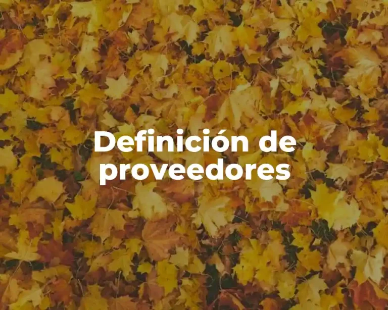 Definición de proveedores