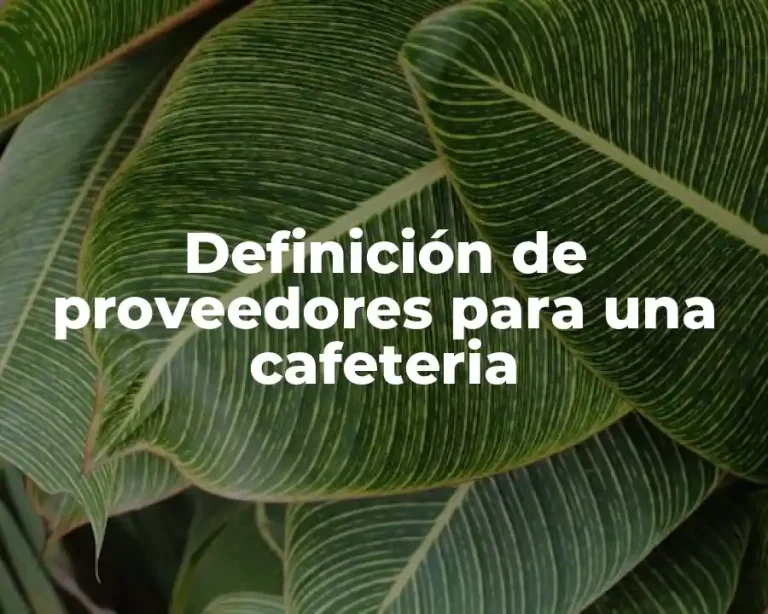 Definición de proveedores para una cafeteria
