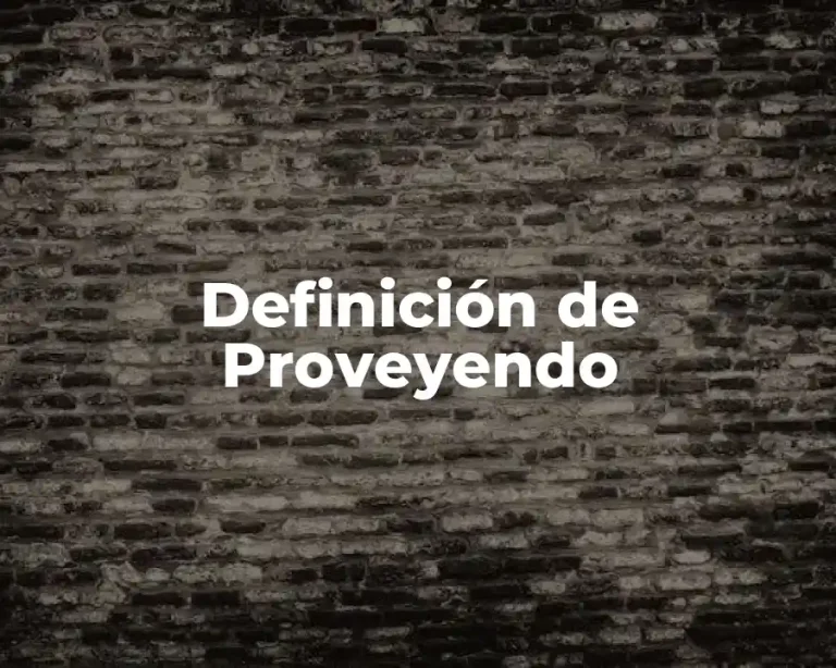 Definición de Proveyendo