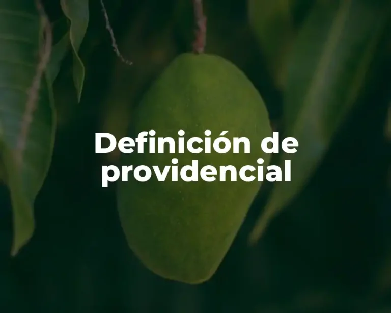 Definición de providencial