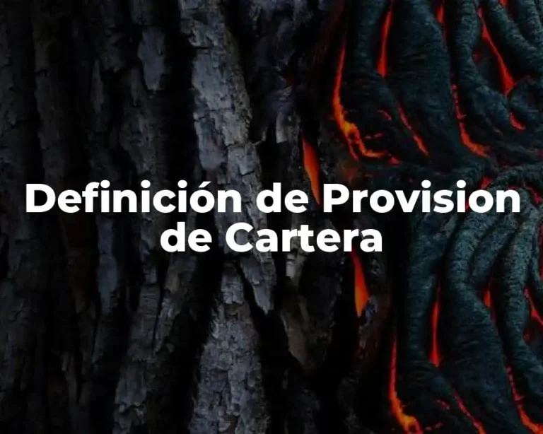 Definición de Provision de Cartera