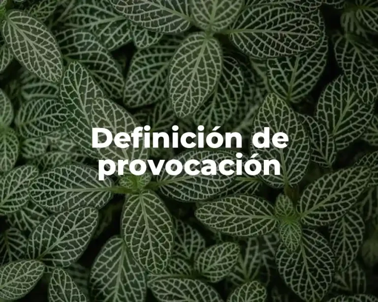 Definición de provocación