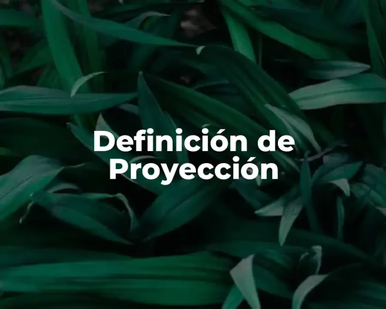 Definición de Proyección