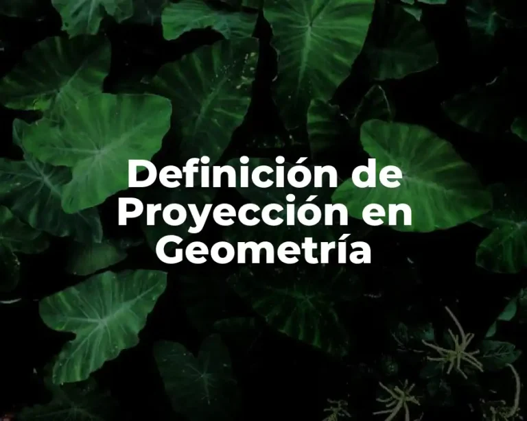 Definición de Proyección en Geometría