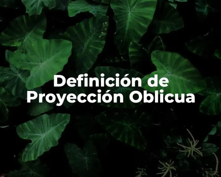 Definición de Proyección Oblicua